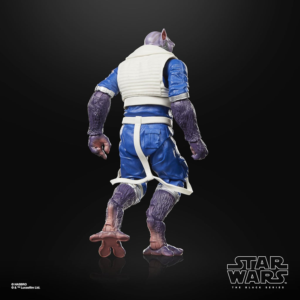 Star Wars The Black Series Garazeb „Zeb“ Orrelios, The Mandalorian & Grogu Premium Action-Figur zum Sammeln (15 cm)